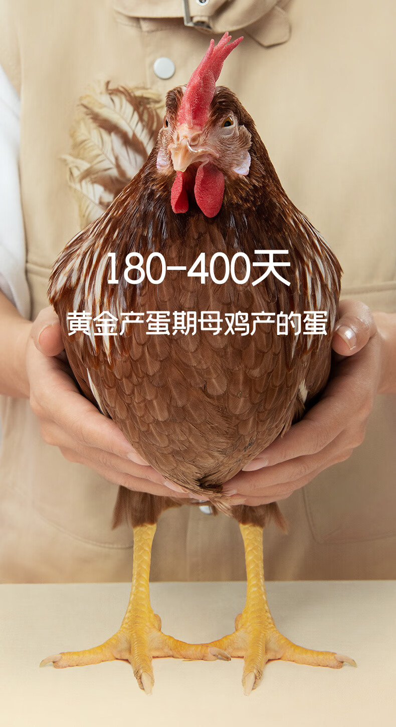 1749463389300768.jpg